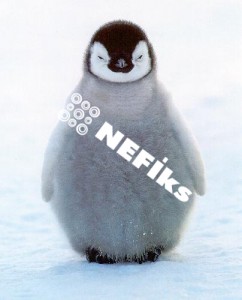 Nefiks