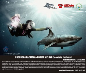Podvodna razstava 16.11.2013