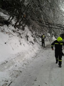 PGD Ruše - žledolom 1