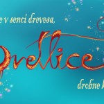 fb-banner-svetlice