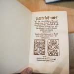 Matjaž Č. 03April2017, RUŠE (32)